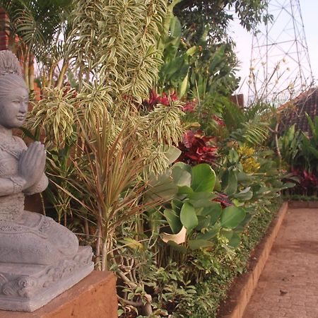 Pemuteran Eliska Sari Bungalows Sumberkima מראה חיצוני תמונה