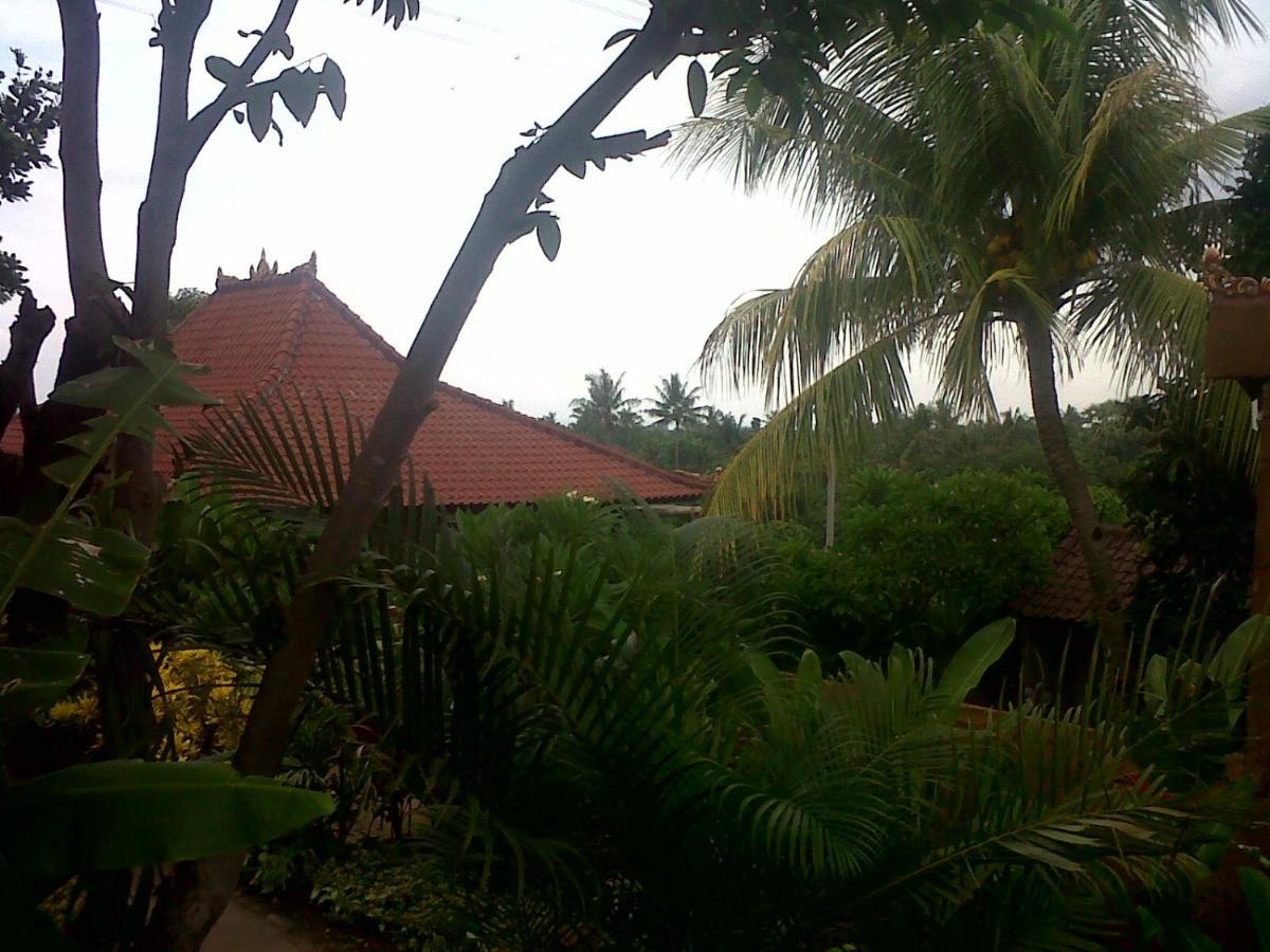 Pemuteran Eliska Sari Bungalows Sumberkima מראה חיצוני תמונה