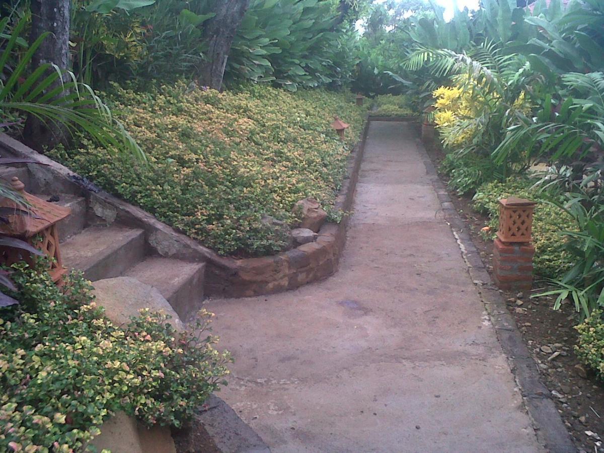 Pemuteran Eliska Sari Bungalows Sumberkima מראה חיצוני תמונה