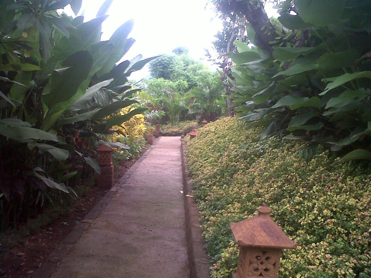 Pemuteran Eliska Sari Bungalows Sumberkima מראה חיצוני תמונה