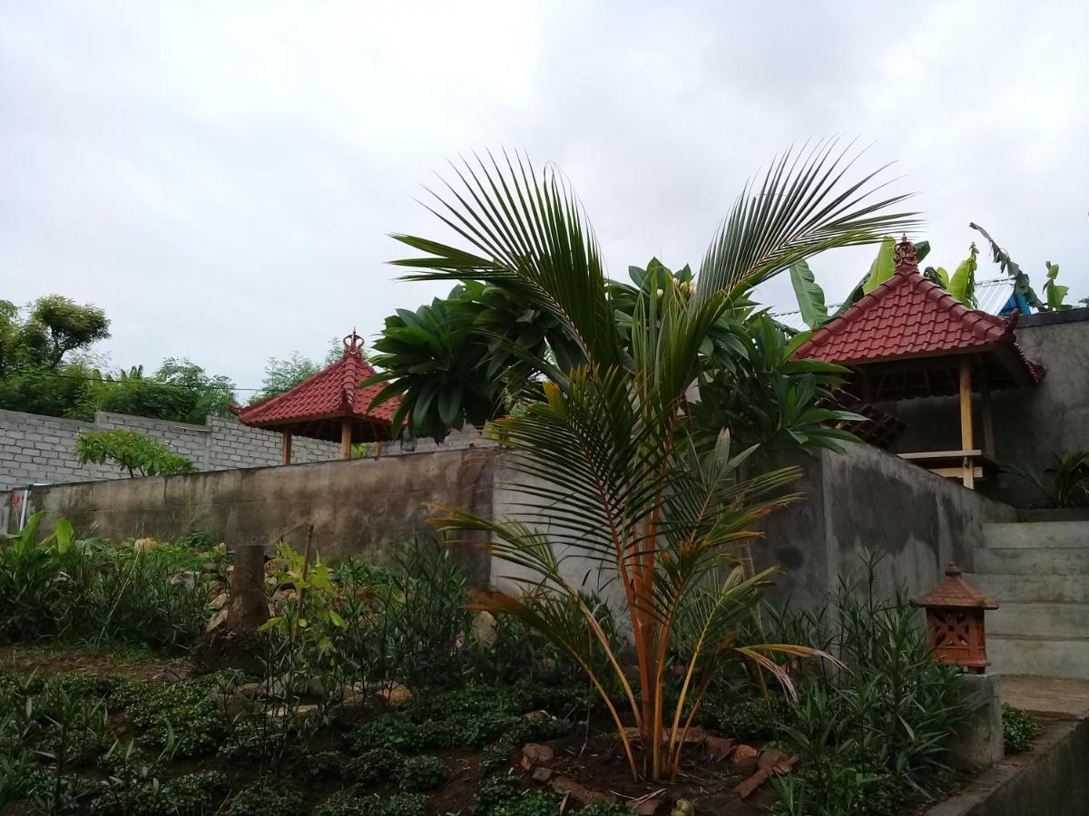 Pemuteran Eliska Sari Bungalows Sumberkima מראה חיצוני תמונה