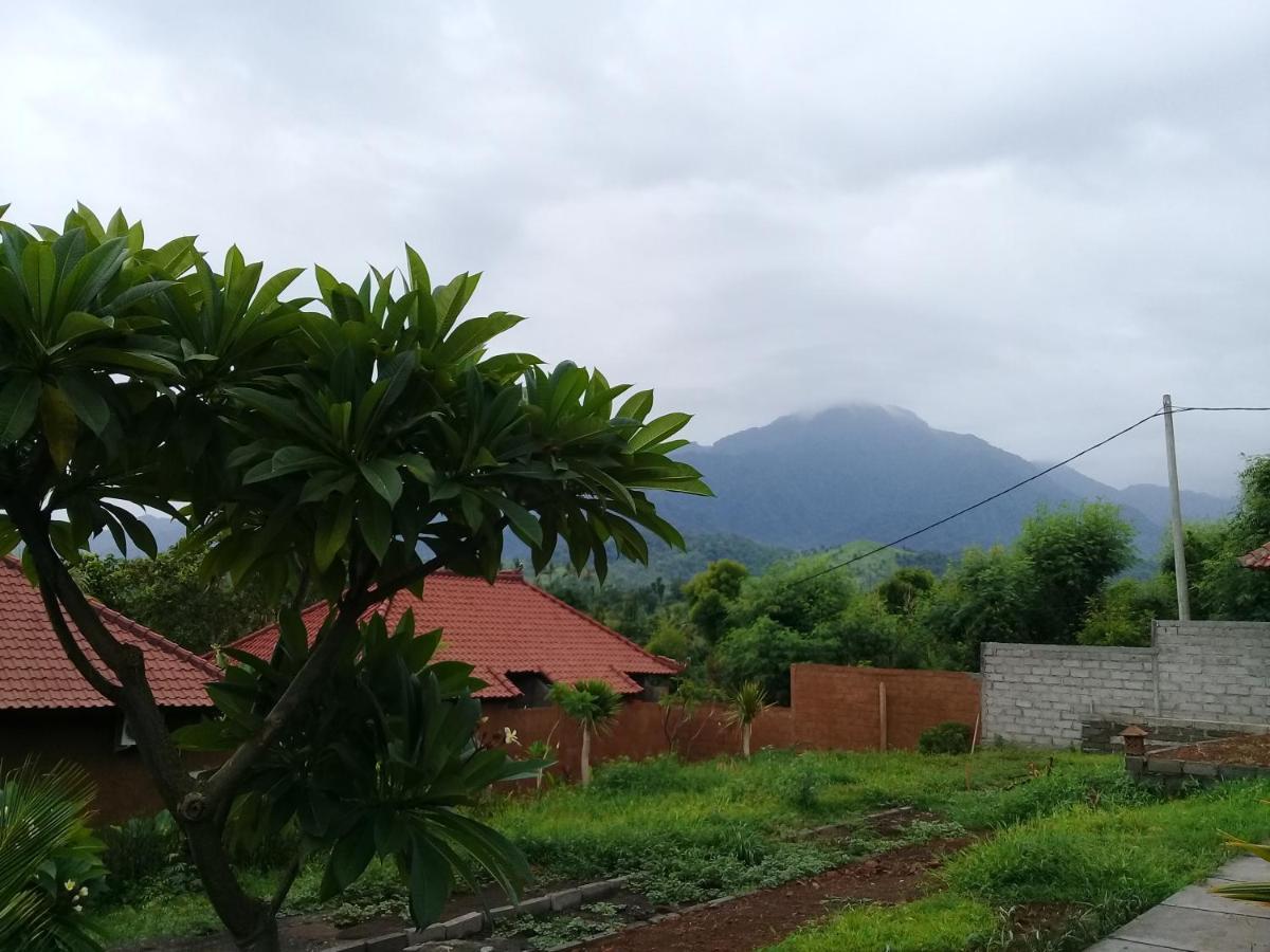 Pemuteran Eliska Sari Bungalows Sumberkima מראה חיצוני תמונה