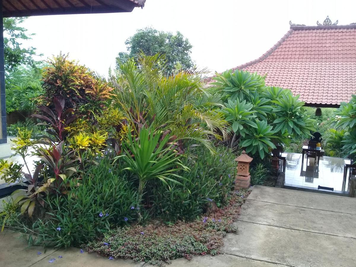Pemuteran Eliska Sari Bungalows Sumberkima מראה חיצוני תמונה