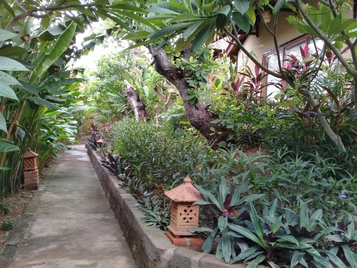 Pemuteran Eliska Sari Bungalows Sumberkima מראה חיצוני תמונה