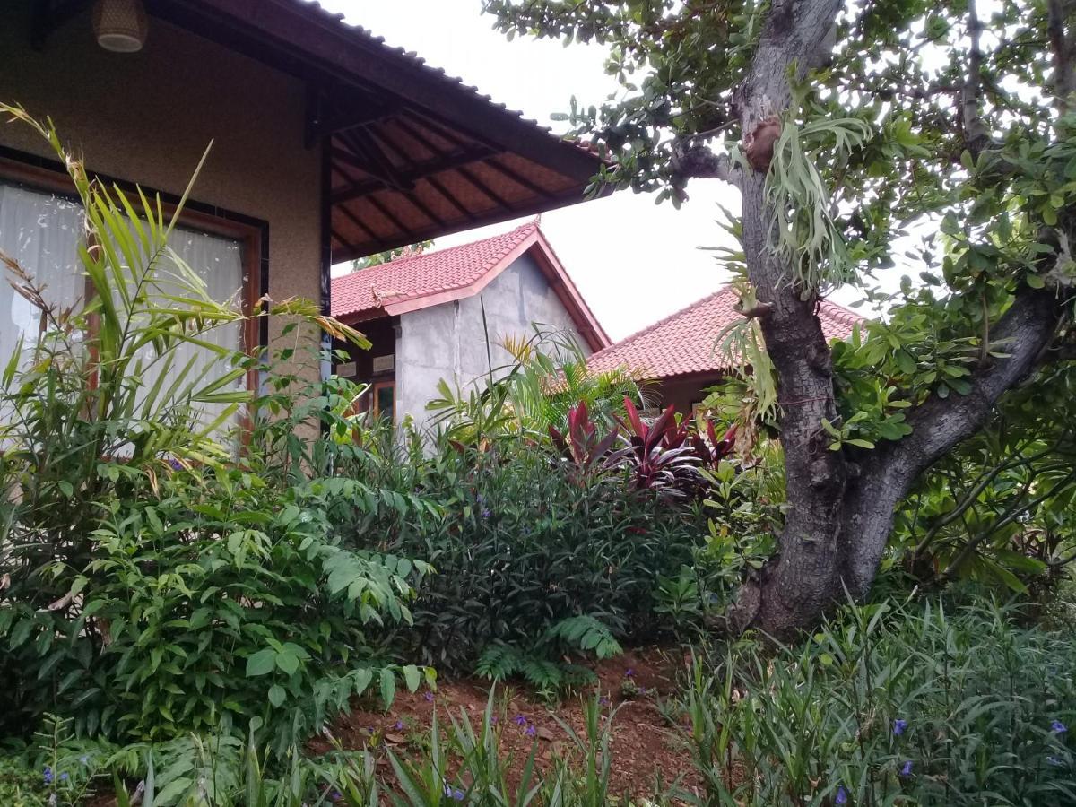 Pemuteran Eliska Sari Bungalows Sumberkima מראה חיצוני תמונה