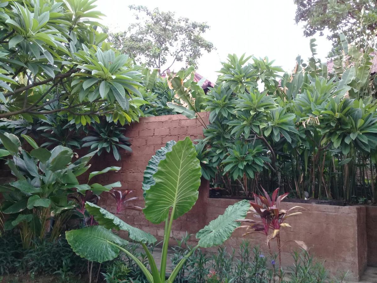 Pemuteran Eliska Sari Bungalows Sumberkima מראה חיצוני תמונה