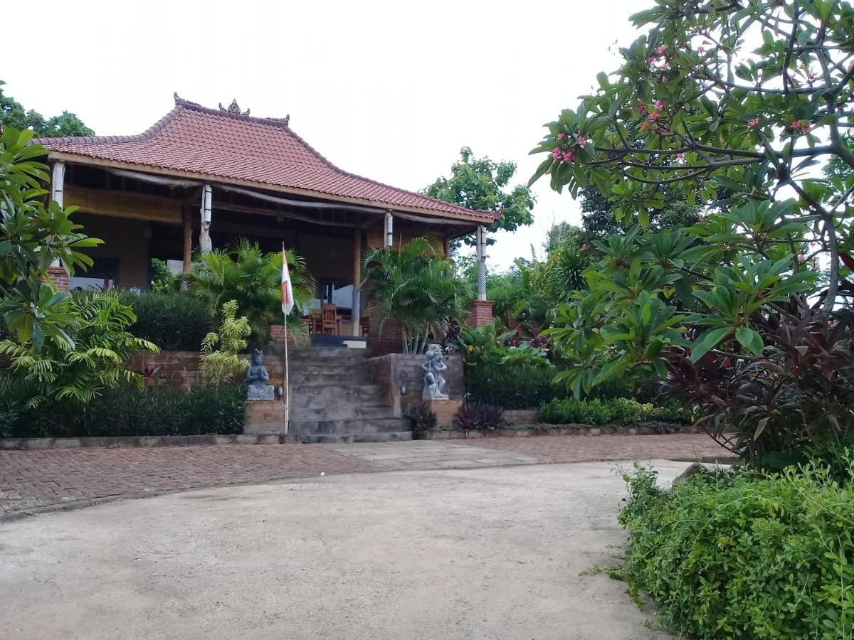 Pemuteran Eliska Sari Bungalows Sumberkima מראה חיצוני תמונה