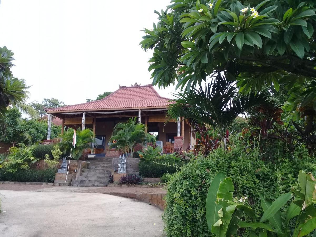 Pemuteran Eliska Sari Bungalows Sumberkima מראה חיצוני תמונה
